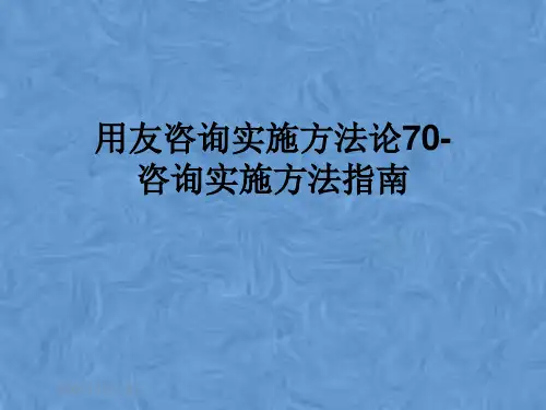 用友咨询实施方法论70-咨询实施方法指南