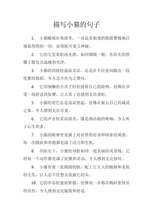描写小猫的句子