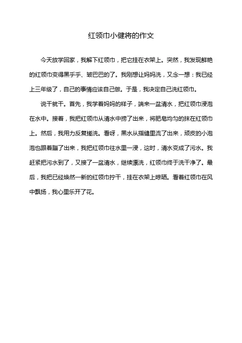 红领巾小健将的作文