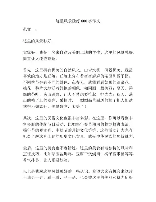 这里风景独好600字作文