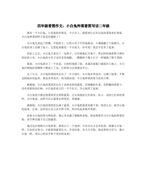 四年级看图作文：小白兔种菜看图写话二年级
