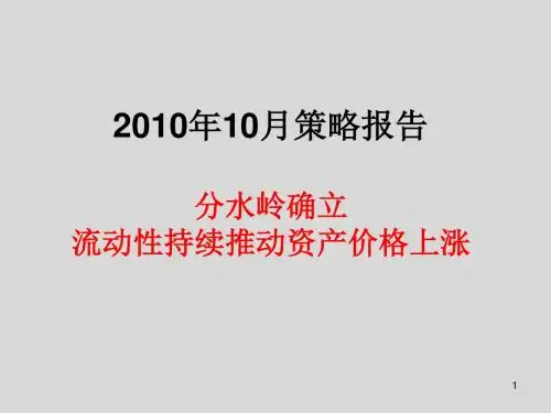 2010年11月策略报告