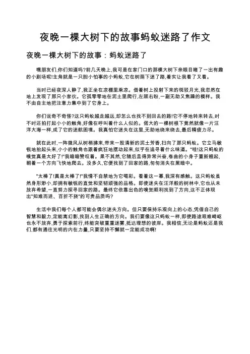 夜晚一棵大树下的故事蚂蚁迷路了作文