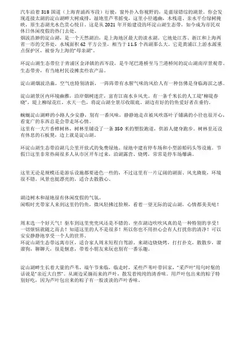 淀山湖有一处柳堤春晓是露营野餐的好地方知道的人却不多