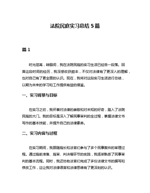 法院民庭实习总结5篇