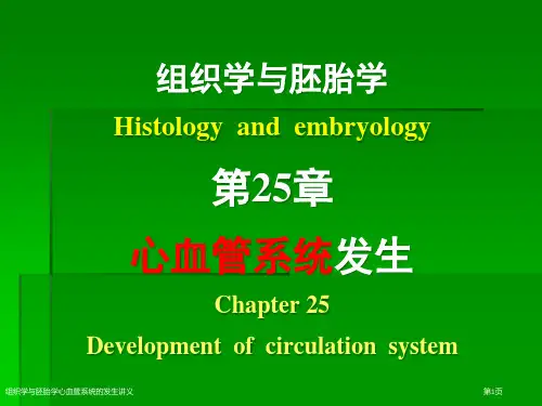组织学与胚胎学心血管系统的发生讲义