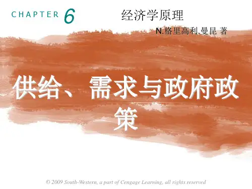 微观经济学(6)政府政策