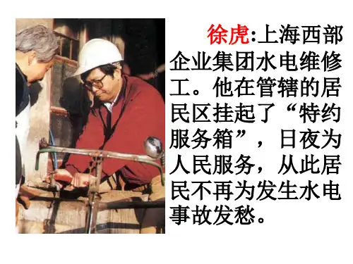 《闪光的金子》课件