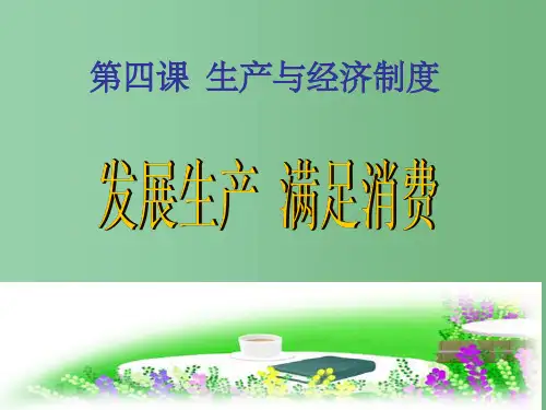 高中政治 第四课 生产与经济制度课件 新人教版必修1