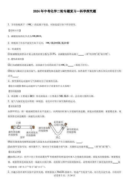 2024年中考化学二轮专题复习科学探究题