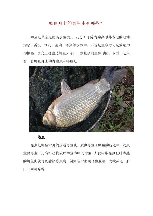 鲫鱼身上的寄生虫有哪些？