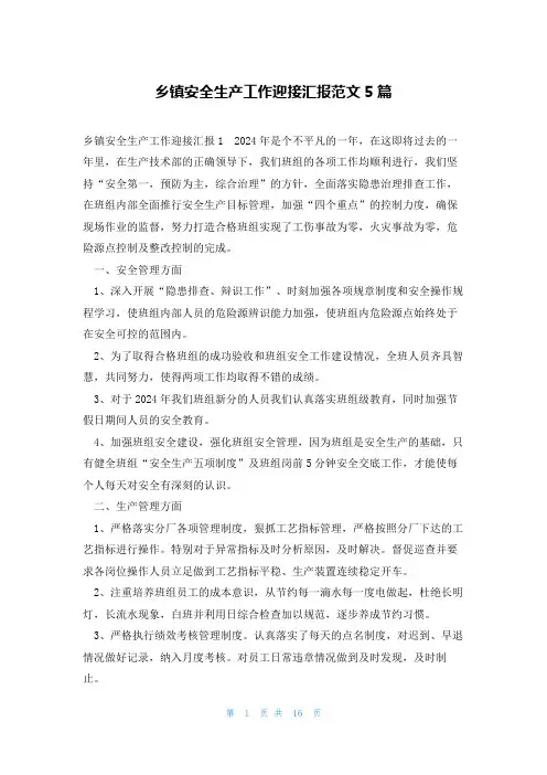 乡镇安全生产工作迎接汇报范文5篇