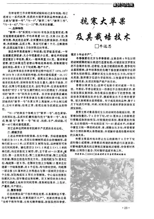 抗寒大苹果及其栽培技术