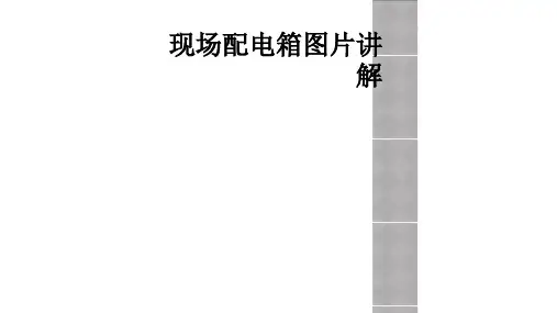 现场配电箱图片讲解
