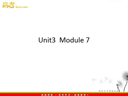 牛津译林版高中英语选修7Unit3Unit 3 The World online 课件课件ppt