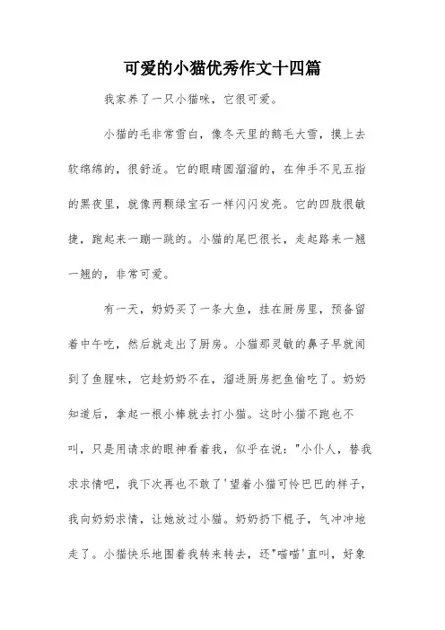 可爱的小猫优秀作文十四篇