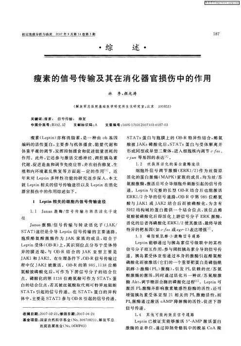 瘦素的信号传输及其在消化器官损伤中的作用