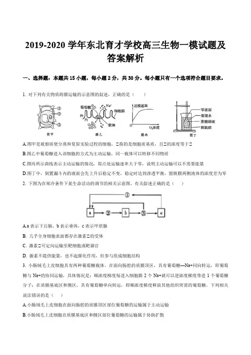2019-2020学年东北育才学校高三生物一模试题及答案解析