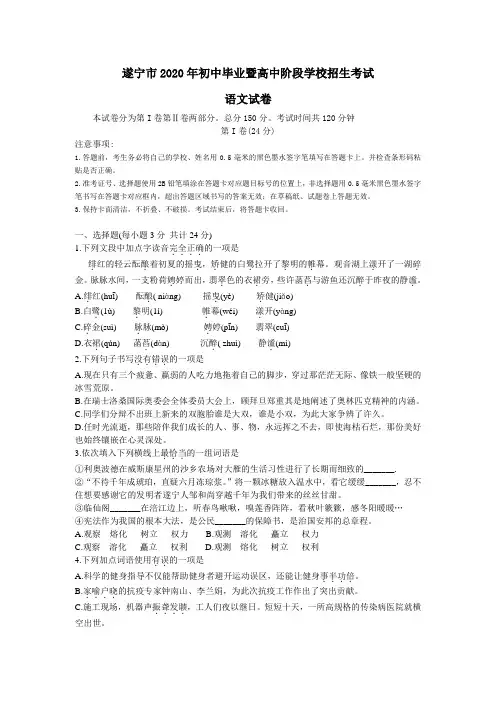 四川省遂宁市2020年初中毕业暨高中阶段学校招生考试语文试题