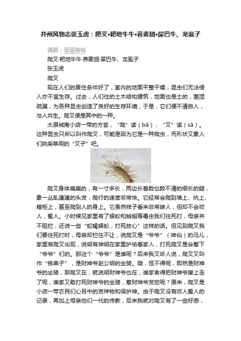 并州风物志张玉虎：爬叉?耙地牛牛?荞麦翅?屎巴牛、龙虱子