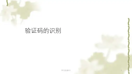验证码识别技术课件