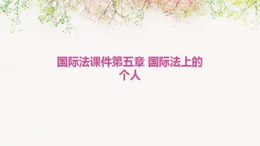 国际法课件第五章国际法上的个人
