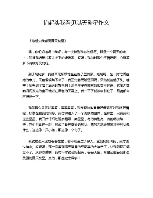 抬起头我看见满天繁星作文
