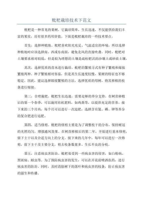 枇杷栽培技术下范文