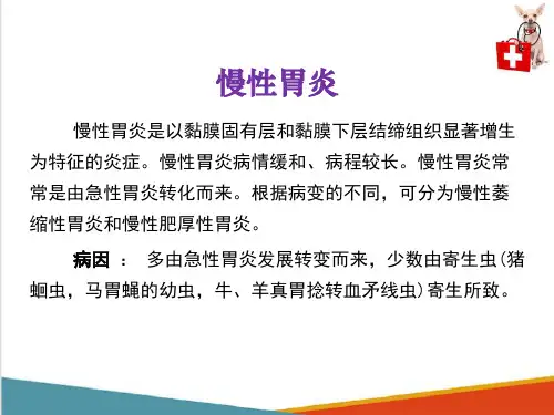 动物消化系统病理—胃炎(动物病理学课件)