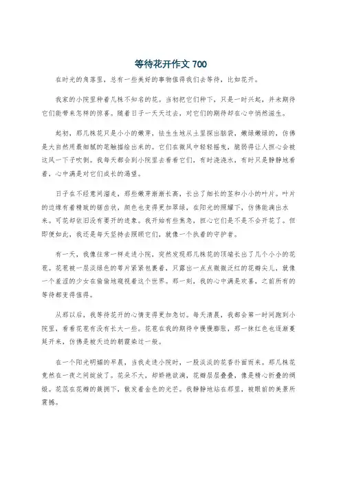 等待花开作文700