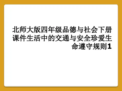 北师大版四年级品德与社会下册课件生活中的交通与安全珍爱生命遵守规则1
