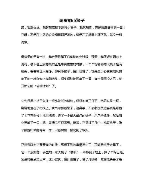 作文《调皮的小猴子》
