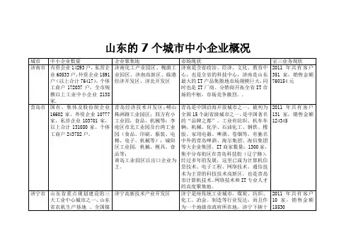 山东的7个城市中小企业概况