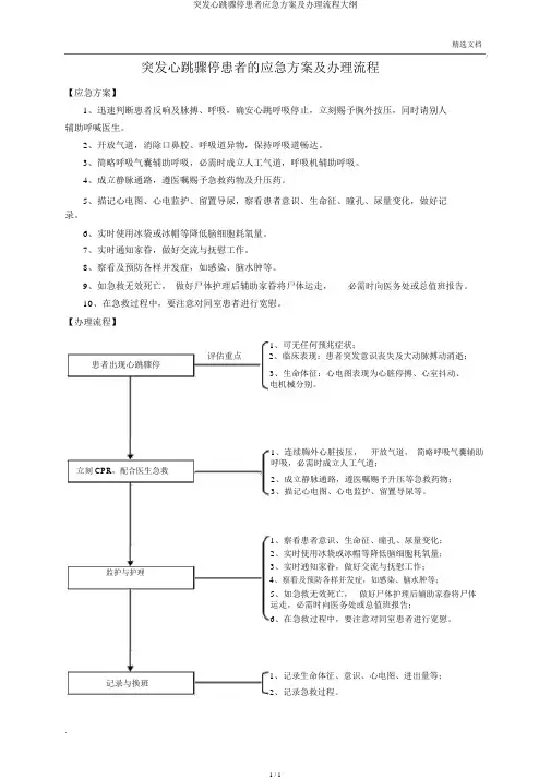 突发心跳骤停患者应急方案及处理流程纲要