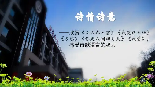 诗情诗意 初中九年级语文教学课件PPT 人教版