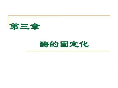 第三章固定化酶