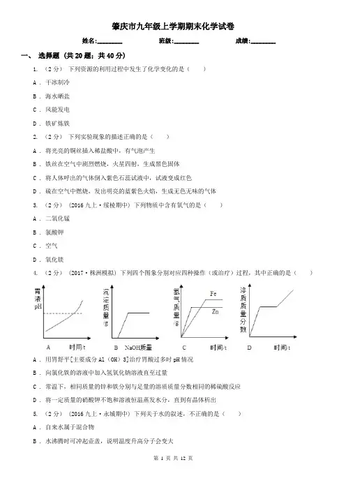 肇庆市九年级上学期期末化学试卷