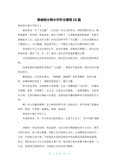 我家的小狗小学作文通用15篇