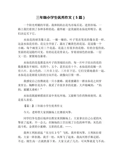 三年级小学生优秀作文(5篇)