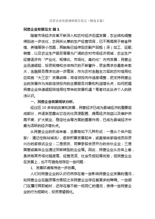 民营企业发展调研报告范文（精选3篇）