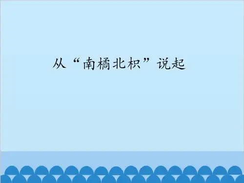 六年级上册科学课件PPT：从“南橘北枳”说起 -湘教版(一起)