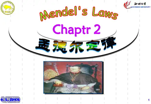 第二章(第三讲)： 孟德尔定律—— 遗传学数据的统计处理