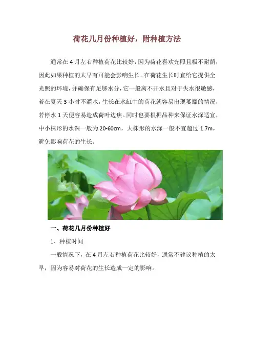 荷花几月份种植好,附种植方法