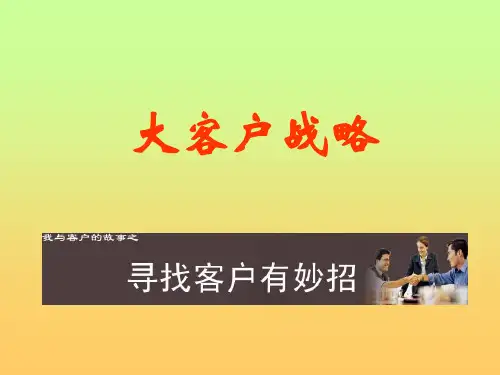 大客户战略(图片)[1]PPT课件