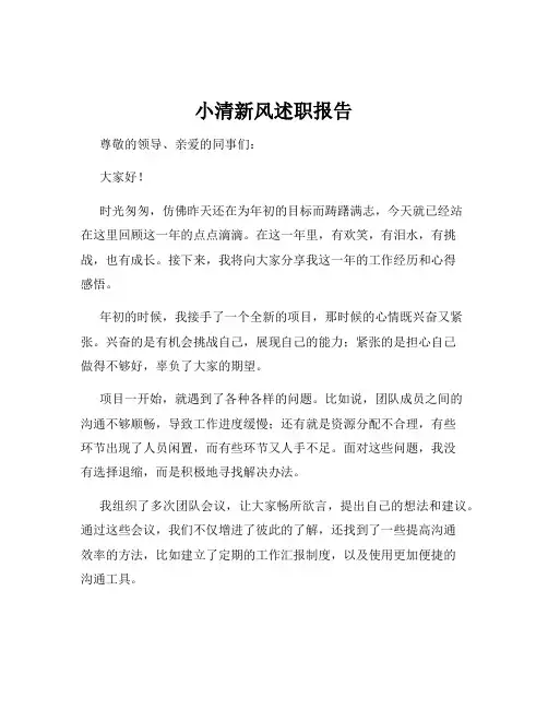 小清新风述职报告