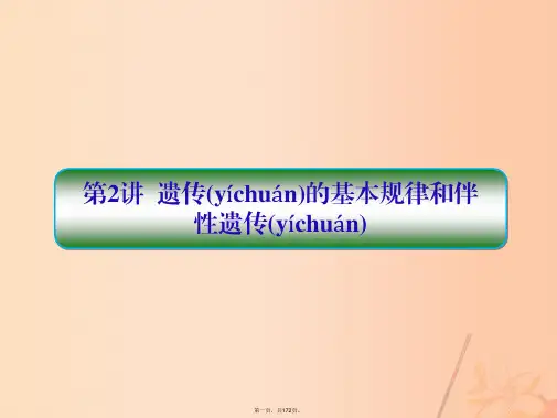 高三生物二轮复习专题四遗传、变异、进化第2讲遗传的基本规律和伴性遗传课件