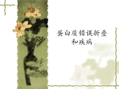 蛋白质错误折叠及疾病