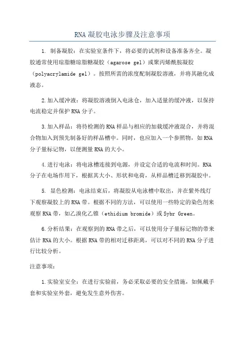 RNA凝胶电泳步骤及注意事项