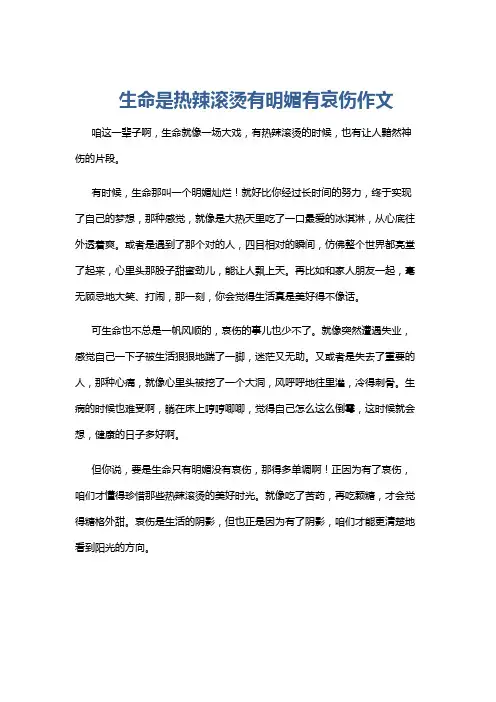 生命是热辣滚烫有明媚有哀伤作文