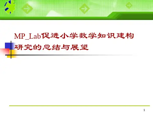 促进小学数学知识建构研究的总结与展望ppt幻灯片